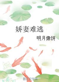 江小柔，江雨菲，沈